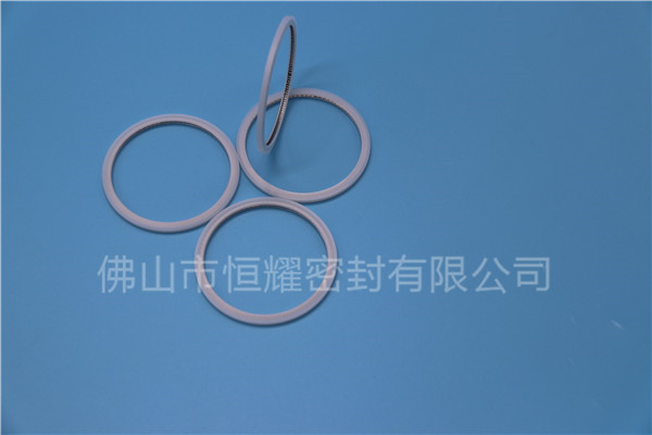 HVF、HVG端面内、外向泛塞封 (20)