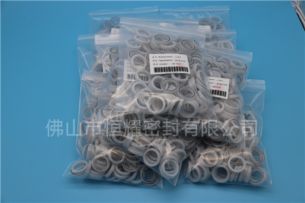 HOB、HVB孔用泛塞封 (17)