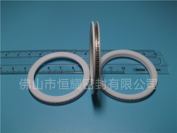 HVF、HVG端面内、外向泛塞封 (10)