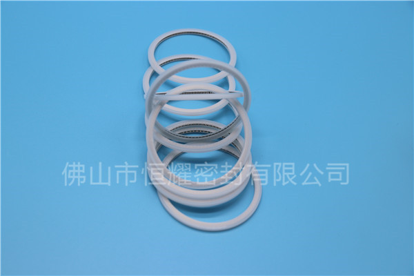 HVF、HVG端面内、外向泛塞封 (15)