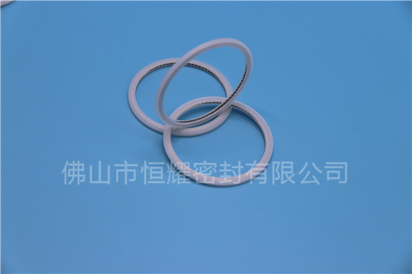 HVF、HVG端面内、外向泛塞封 (21)