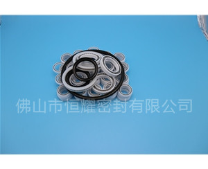 HOB、HVB孔用泛塞封 (6)