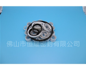 HOB、HVB孔用泛塞封 (7)