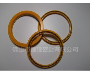 HOD、HVD旋转泛塞封 (8)