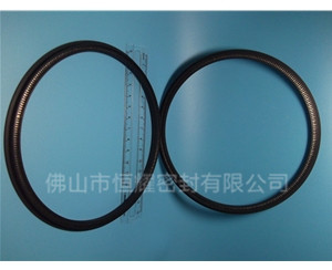 HOD、HVD旋转泛塞封 (13)