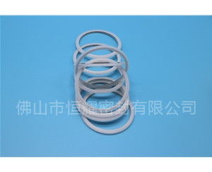 HVF、HVG端面内、外向泛塞封 (15)