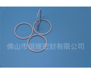 HVF、HVG端面内、外向泛塞封 (20)