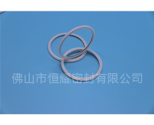 HVF、HVG端面内、外向泛塞封 (21)